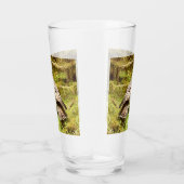 Buzzard op zoek naar grubs glas (Rechts)