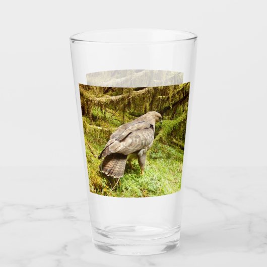 Buzzard op zoek naar grubs glas (Voorkant)