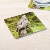 Buzzard op zoek naar grubs Onderzetter (Schuin)