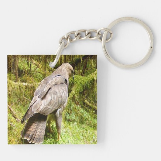 Buzzard op zoek naar grubs sleutelhanger (Achterkant)