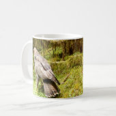 Buzzard op zoek naar insecten om Mok te eten (Voorkant links)