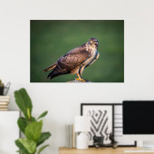 Buzzard Poster (Thuiskantoor)