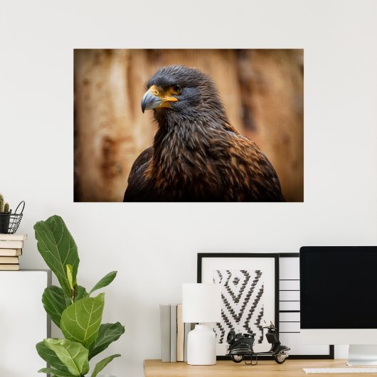 Buzzard Poster (Thuiskantoor)