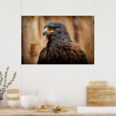Buzzard Poster (Keuken)