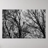 Buzzard Silhouette Poster (Voorkant)