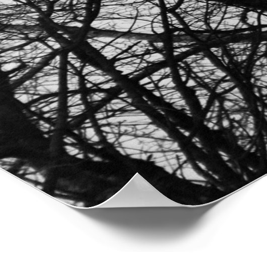 Buzzard Silhouette Poster (Hoek)