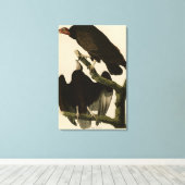 Buzzard uit Audubon's Birds of America Canvas Afdruk (Insitu (Houten vloer))