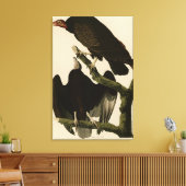 Buzzard uit Audubon's Birds of America Canvas Afdruk (Insitu (Woonkamer))