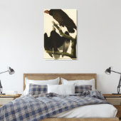 Buzzard uit Audubon's Birds of America Canvas Afdruk (Insitu (Slaapkamer))
