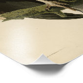 Buzzard uit Audubon's Birds of America Foto Afdruk (Hoek)