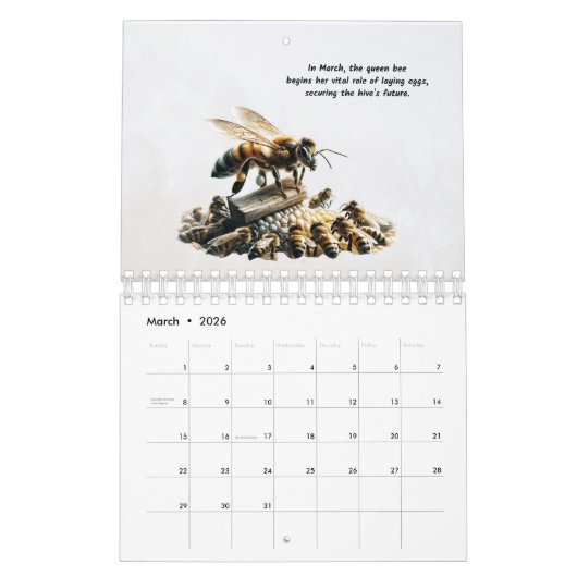 Buzzing door de seizoenen: A Bee's Journey Kalender (Mar 2026)
