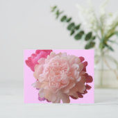 BV- Pink Peony Briefkaart (Staand voorkant)