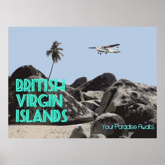 BVI-reisposter Poster (Voorkant)