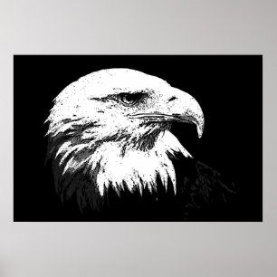 BW American Bald Eagle Poster Print Eagles Posters