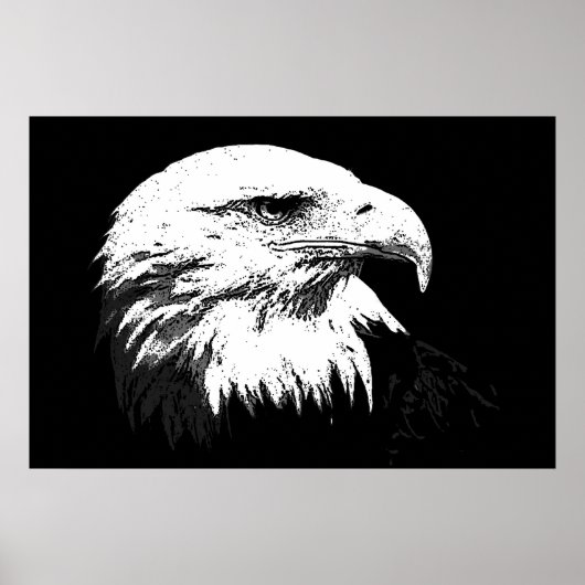 BW American Bald Eagle Poster Print Eagles Posters (Voorkant)