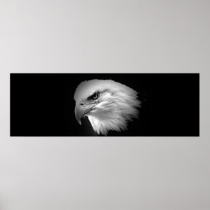 BW Amerikaanse Kale Eagle Print - Panoramische Pos