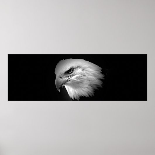 BW Amerikaanse Kale Eagle Print - Panoramische Pos (Voorkant)