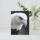 BW Bald Eagle Briefkaart (Staand voorkant)