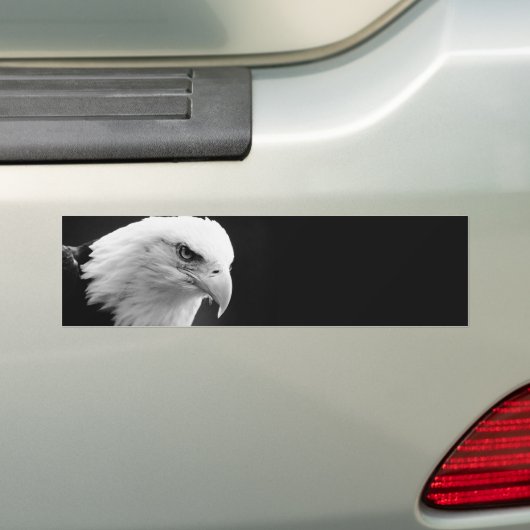 BW Bald Eagle Bumpersticker (Op auto)