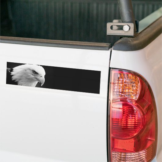BW Bald Eagle Bumpersticker (Op Truck)
