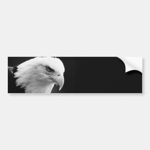 BW Bald Eagle Bumpersticker