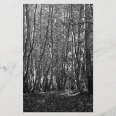 BW-bomen Briefpapier (Voorkant)