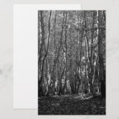 BW-bomen Briefpapier (Voorkant / Achterkant)