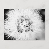 bw * briefkaart (Voorkant)