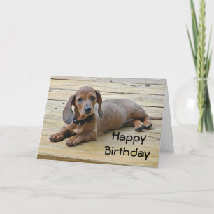 BW- Dachshund Puppy Birthday-kaart Kaart