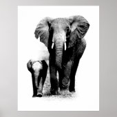 BW Elefant & Baby Elephant Poster (Voorkant)