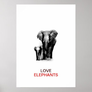 BW Elefant & Baby Elephant Poster