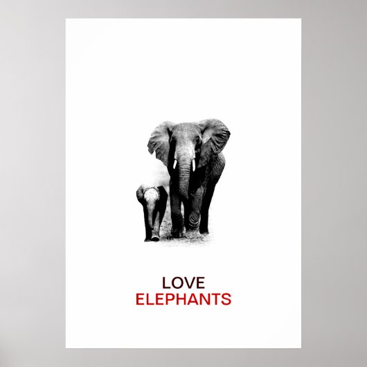 BW Elefant & Baby Elephant Poster (Voorkant)