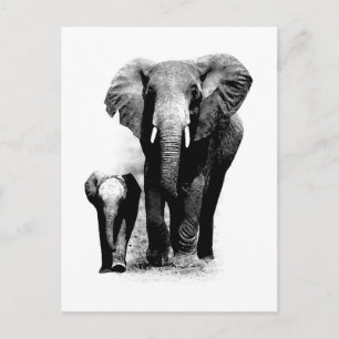 BW Elephant & Baby Elephant Briefkaart