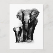 BW Elephant & Baby Elephant Briefkaart (Voorkant)