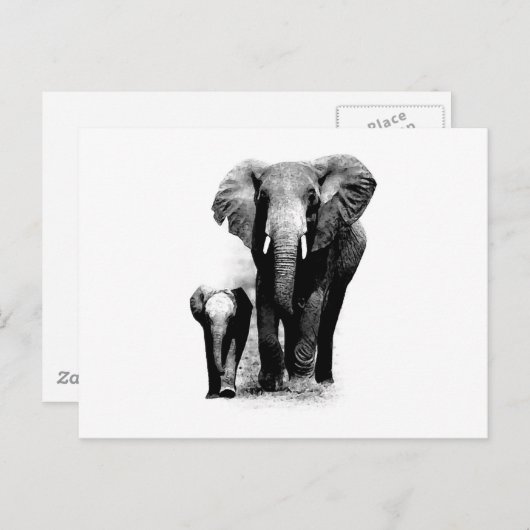 BW Elephant & Baby Elephant Briefkaart (Voorkant / Achterkant)
