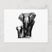 BW Elephant & Baby Elephant Briefkaart (Voorkant)