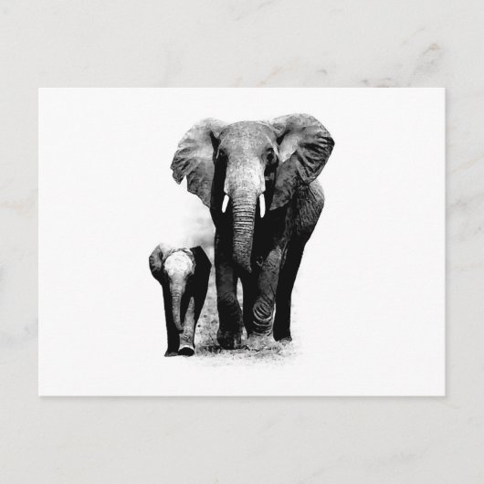 BW Elephant & Baby Elephant Briefkaart (Voorkant)