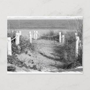 BW Fort Pierce, strandwandeling van Florida, afgeb Briefkaart