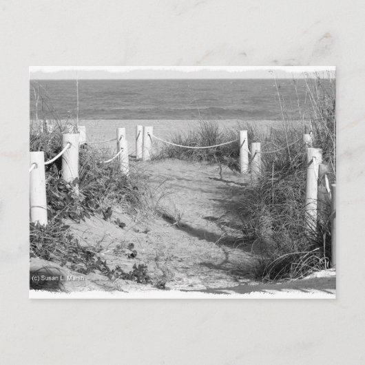 BW Fort Pierce, strandwandeling van Florida, afgeb Briefkaart (Voorkant)