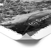 BW Fort Pierce, strandwandeling van Florida, afgeb Poster (Hoek)