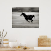 BW Galloping Horse Poster (Keuken)