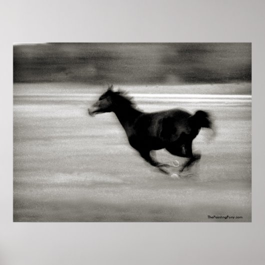 BW Galloping Horse Poster (Voorkant)