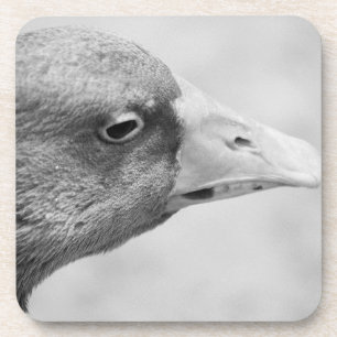 BW Goose Bier Onderzetter