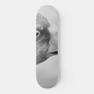 BW Goose Persoonlijk Skateboard
