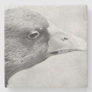 BW Goose Stenen Onderzetter