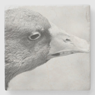 BW Goose Stenen Onderzetter