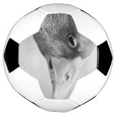 BW Goose Voetbal (Gedraaid)