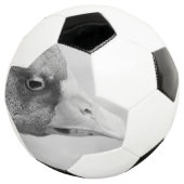 BW Goose Voetbal (Drie kwart)