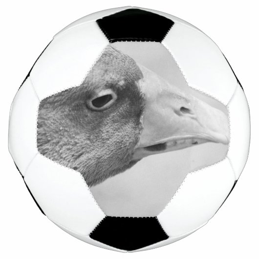 BW Goose Voetbal (Voorkant)