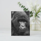 BW Gorilla Face Briefkaart (Staand voorkant)
